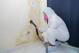 Mold Remediation for Vacation Homes in Marlton, NJ